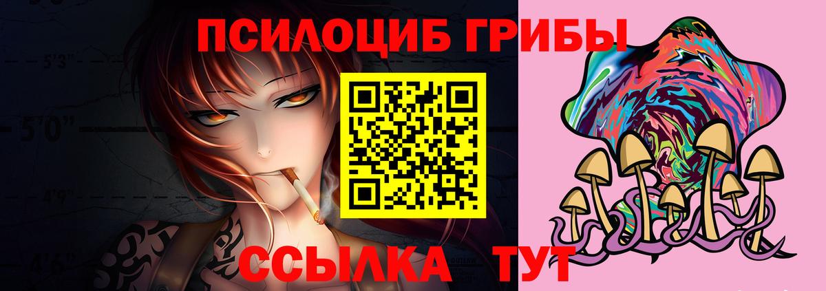 Псилоцибиновые грибы мицелий  Вход с VPN  Киреевск 