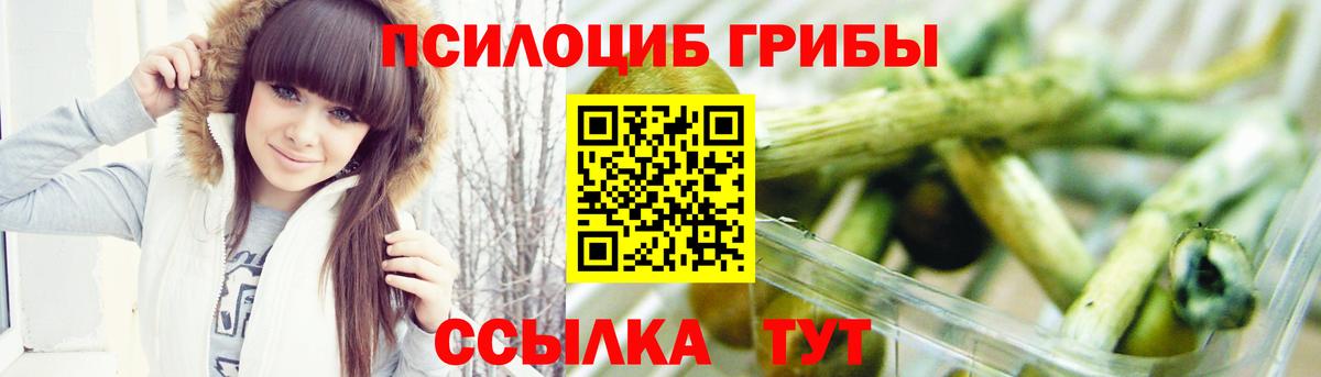 Псилоцибиновые грибы Psilocybine cubensis Киреевск